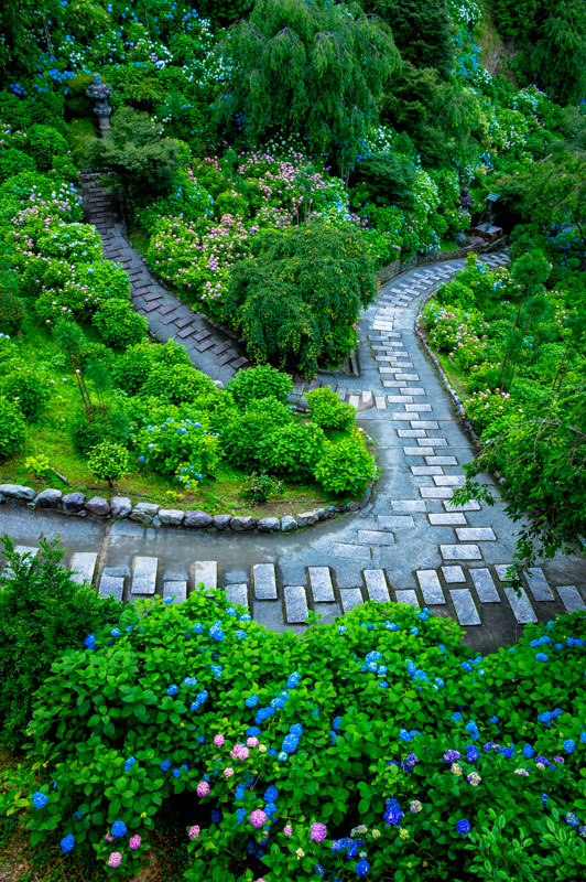 kyoto photo by aki
