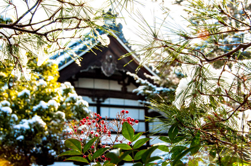 kyoto photo by aki